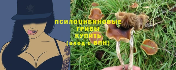 спайс Елизово