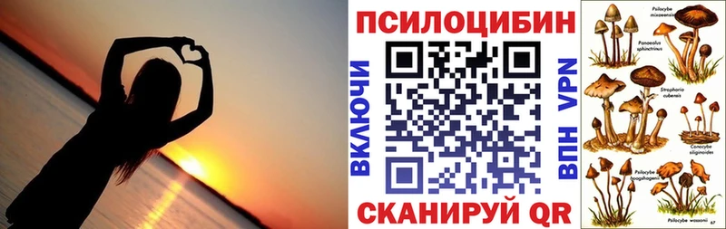 Купить закладки  Велиж  Галлюциногенные грибы Psilocybine cubensis 